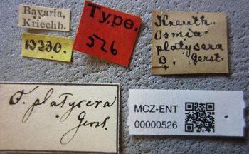 Media type: image;   Entomology 526 Aspect: labels